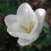 marzenia3