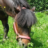 DorotaD86