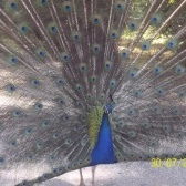 norbert22